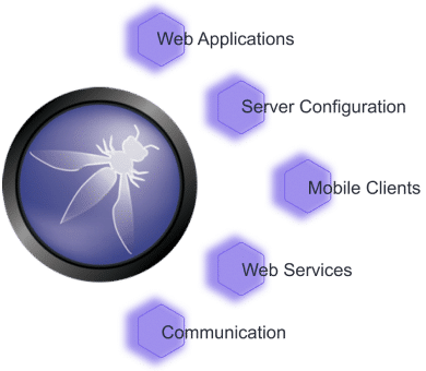 Покрытие OWASP ASVS