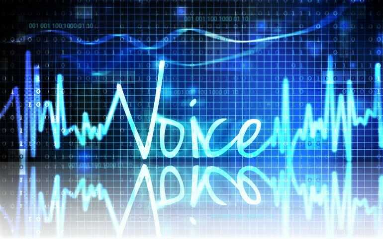 voice waveform